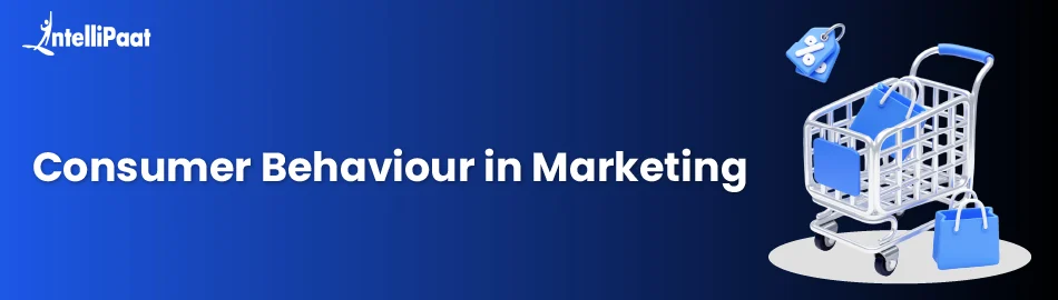 consumer-behavior-feature-image.webp