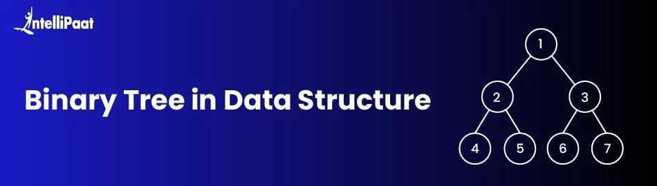 Binary-Tree-in-Data-Structure-FEATURED-IMAGE.jpg