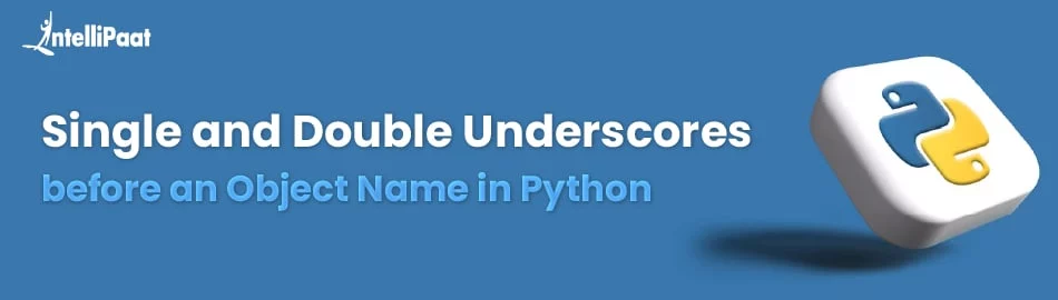 Single-and-Double-Underscores-before-an-Object-Name-in-Python-1.jpg
