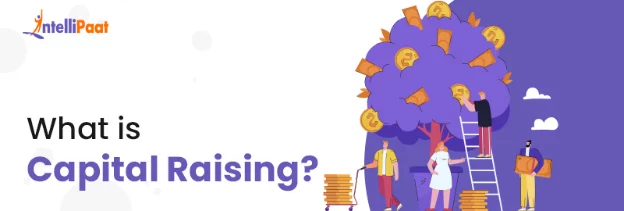 What-is-Capital-Raising.png