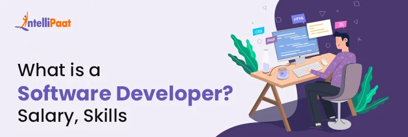 What-is-a-Software-Developer-Salary-Skills-Big.jpg