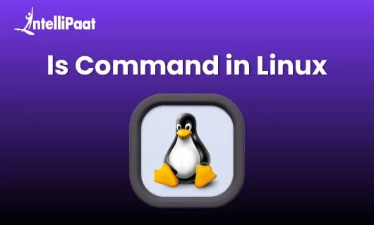 ls-command-in-Linux-1.jpg