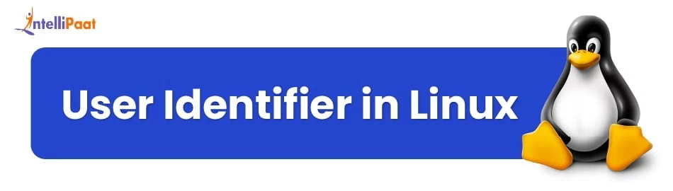 user_identifier_in_linux_feature.jpg