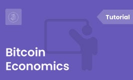 Bitcoin Economics Feature