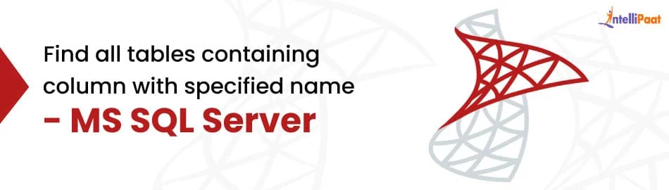 Find-all-tables-containing-column-with-specified-name-Feature-Image.jpg