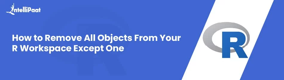 How-to-Remove-All-Objects-From-Your-R-Workspace-Except-One-Feature-Image.jpg