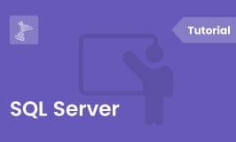 SQL Server Tutorial Feature