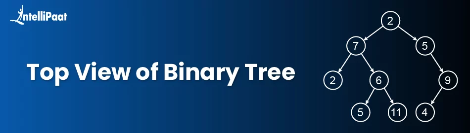 Top-View-of-Binary-Tree.jpg