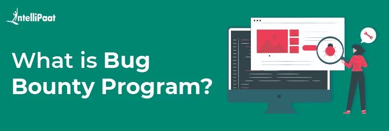 What-is-Bug-Bounty-Program-1.png