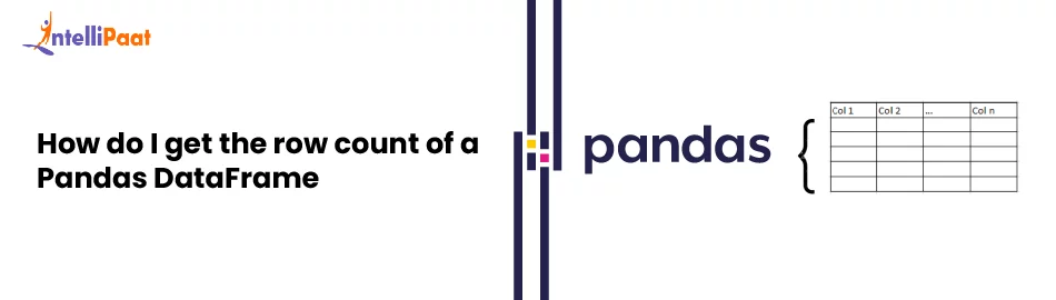 How-to-Get-the-Row-Count-of-a-Pandas-DataFrame.jpg