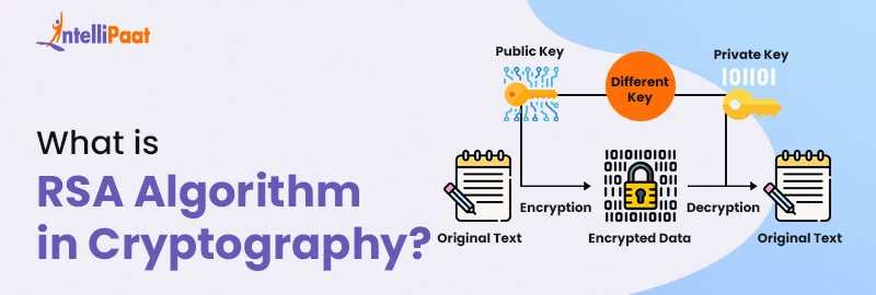 What-is-RSA-Algorithm-in-Cryptography-Big.jpg