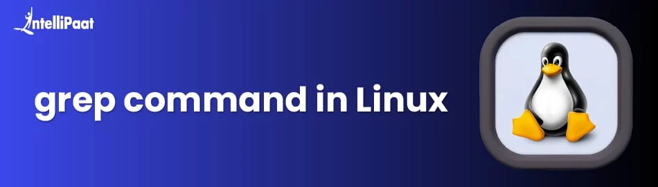 grep-command-in-Linux.jpg