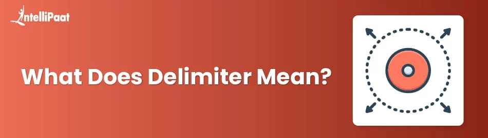 what_does_delimiter_mean_feature.jpg