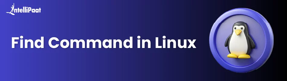 Find Command in Linux: Usage, Examples, and Options