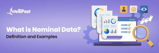 What is Nominal Data? Definition, Characteristics, and Examples