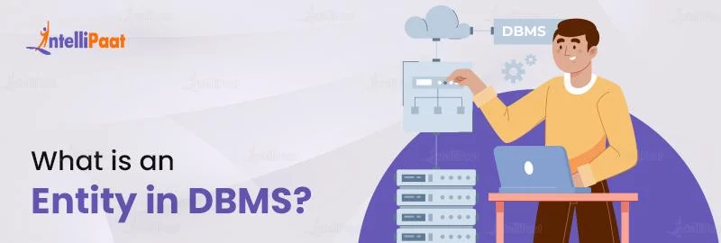 Enttiy Database Sql What is Entity in DBMS - Types Explained