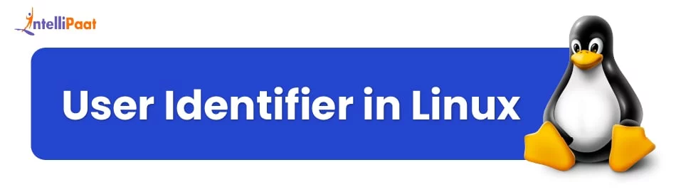 User Identifier in Linux: Importance and How to Change UID