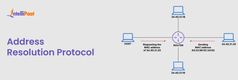 What is Address Resolution Protocol and How ARP Works?