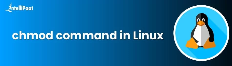 chmod Command in Linux: Tutorial with Examples