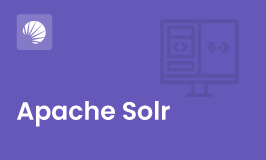 Top Answers to Solr Interview Questions