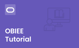 OBIEE Tutorial - Learn OBIEE from Experts