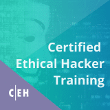 Certified Ethical Hacking Course – CEH v12