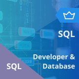SQL Developer and SQL DBA Training Master’s Program