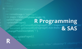 R Programming, SAS Training â€“ Combo