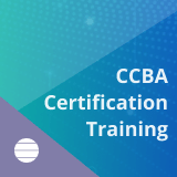 business intelligence training certification