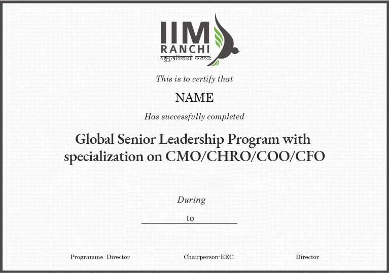Global Senior Leadership Program Certificate Global Senior Leadership Program Certificate