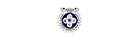 Chhattisgarh university