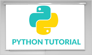 python tutors python tutors