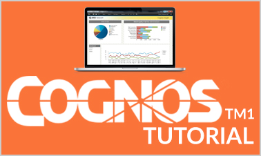 tm1 cognos tutorial ti scripting techniques advanced reporting presentation data intellipaat tutorials