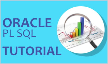 101 oracle pl sql как написать мощные и гибкие программы на pl sql