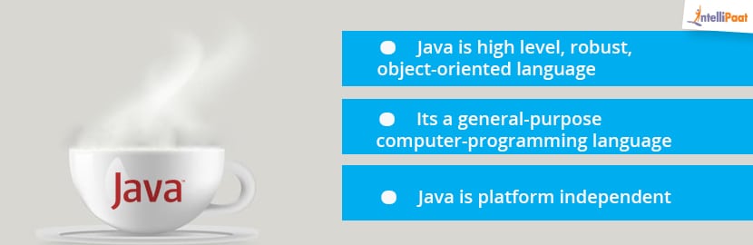 Java Introduction And Installation Intellipaat Blog