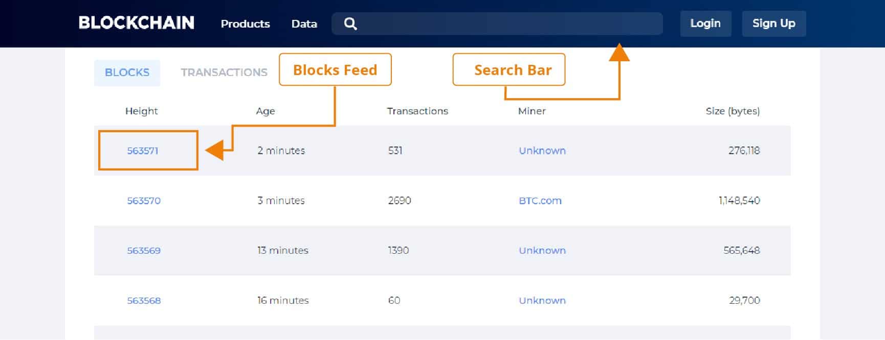 Blockchain Explorer Bitcoin Blockchain Explorer Intellipaat