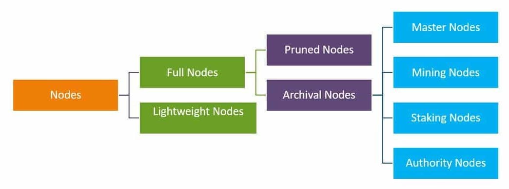 blockchain nodes