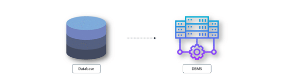 Database Management System