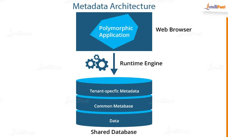 Metadata