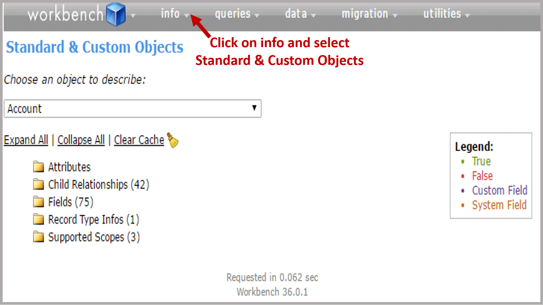 Standard & Custom Objects