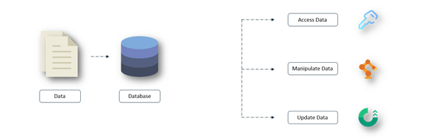 What Is a Database