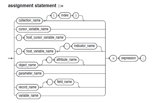 assignment operator in oracle pl sql